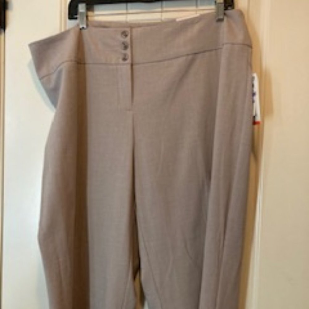 NWT Style and CO size 18 light gray pants. back pockets front zipper/buttons